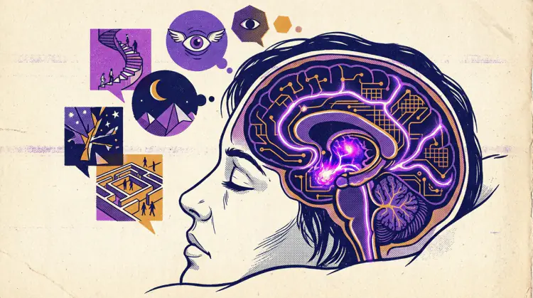 Why Dreams Feel So Real: Amygdala Hyperactivation and dlPFC Deactivation